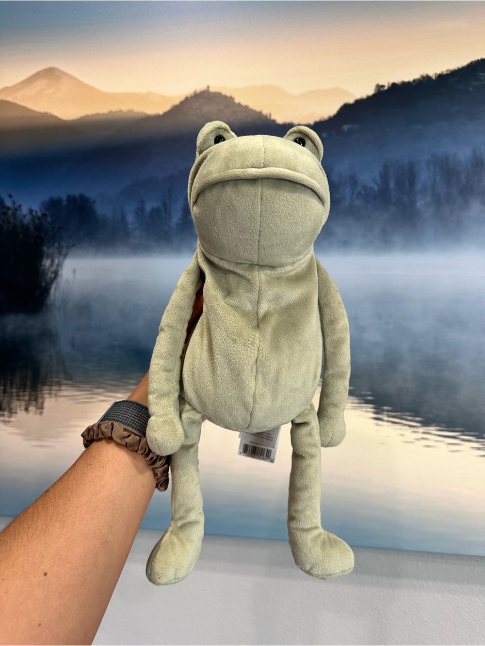 Jellycat Fergus the frog original retired NWT